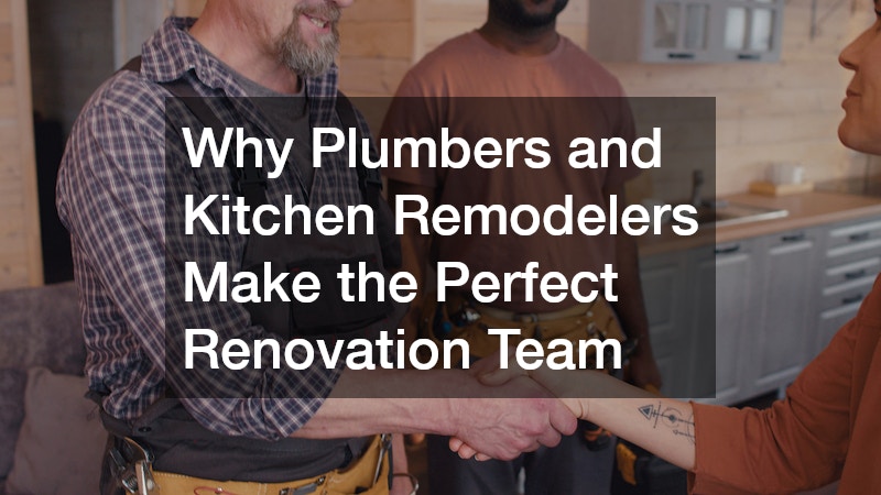 Why Plumbers and Kitchen Remodelers Make the Perfect Renovation Team